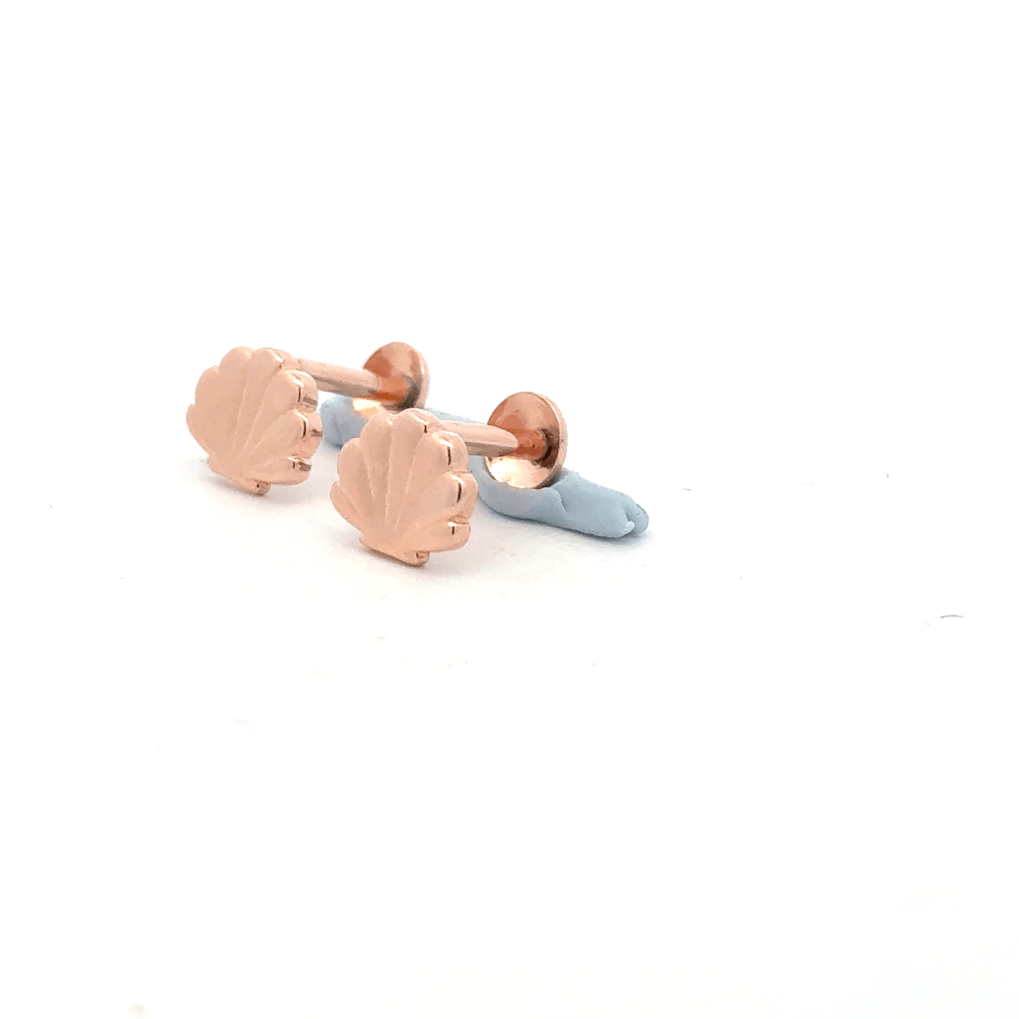 Sea Shell Rosegold Earring