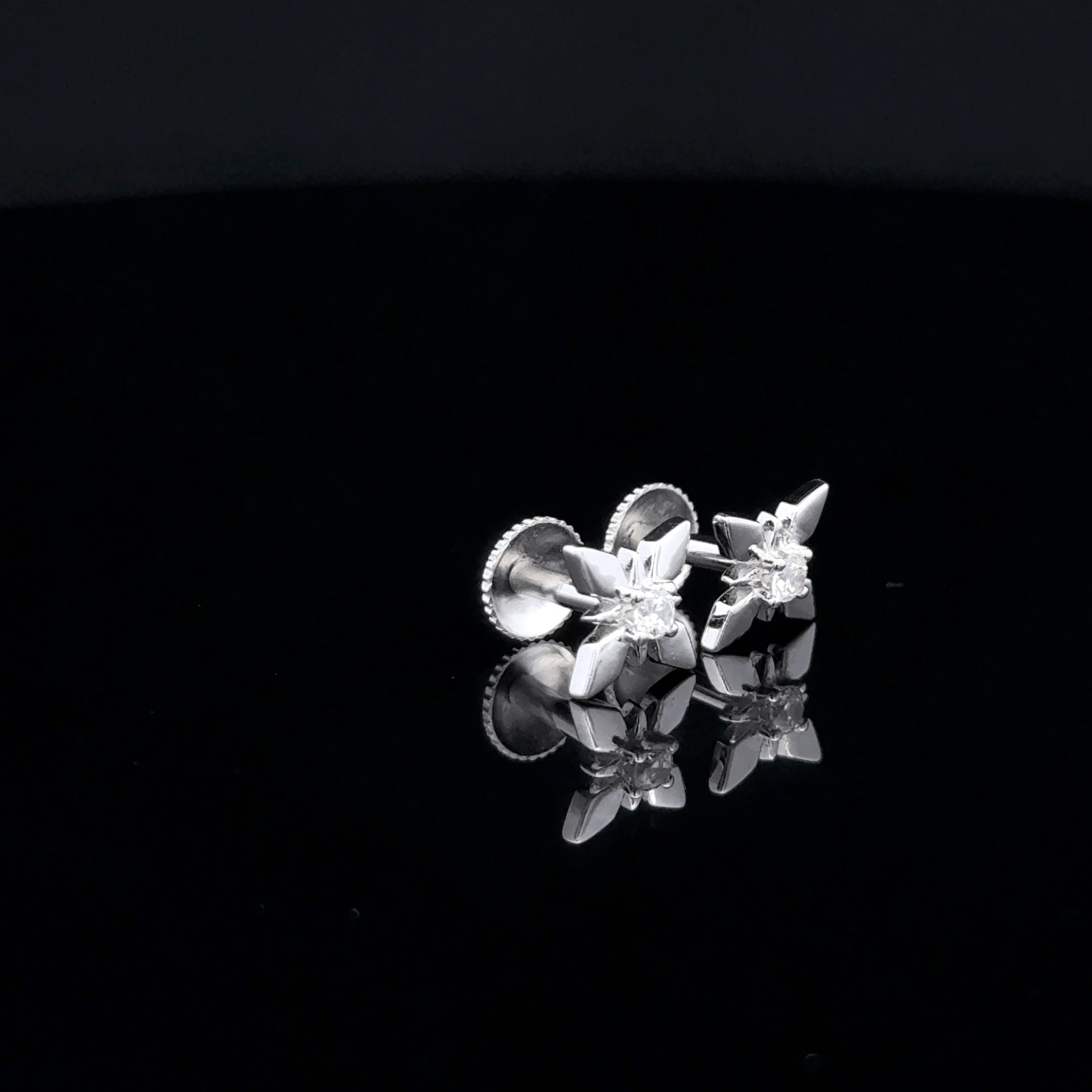 Flower Petals Earrings