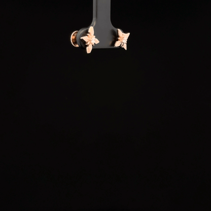 ROSEGOLD STAR EARRING