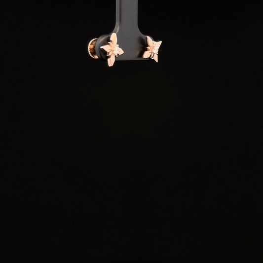 ROSEGOLD STAR EARRING