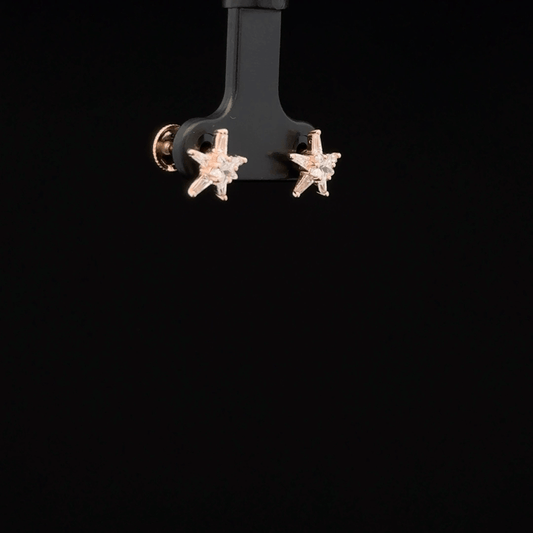 ROSEGOLD STAR EARRING