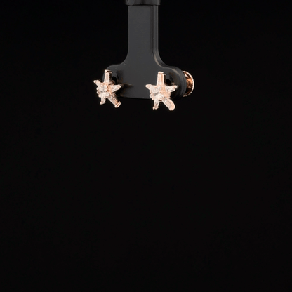 ROSEGOLD STAR EARRING