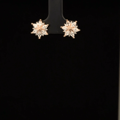 ROSEGOLD PREMIUM STAR EARRING