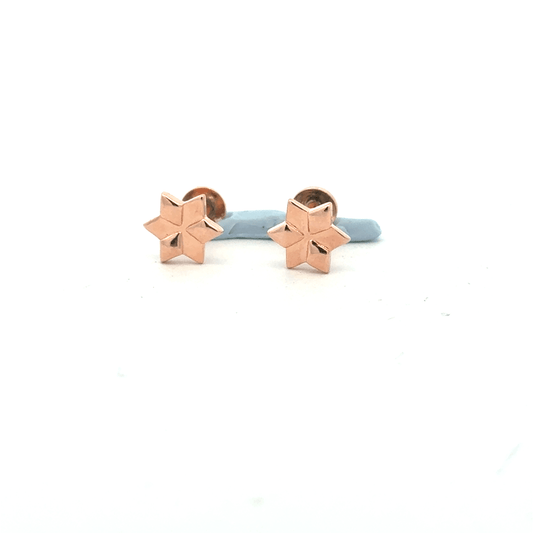 Star Rosegold Earring