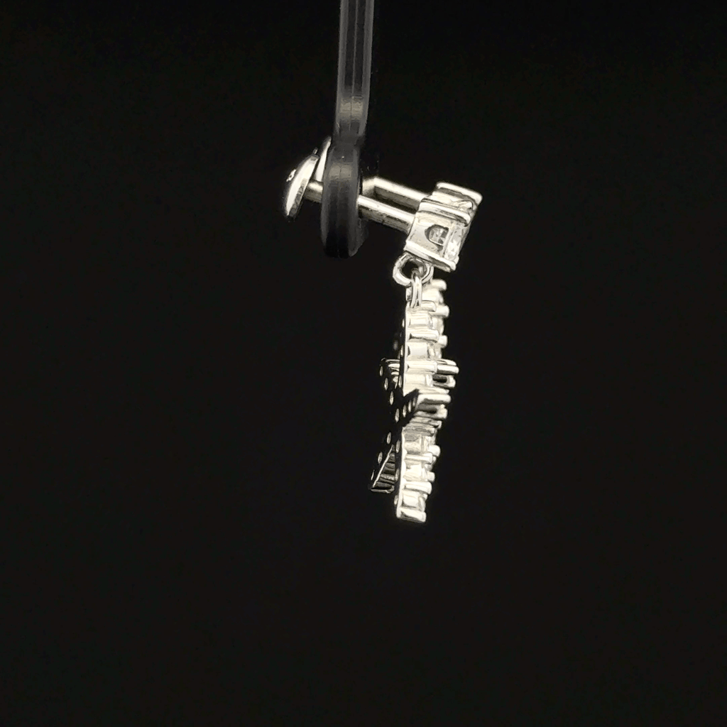 Star Fish Hanging Earrings