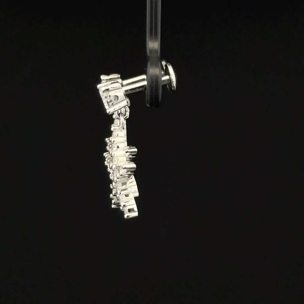 Star Fish Hanging Earrings