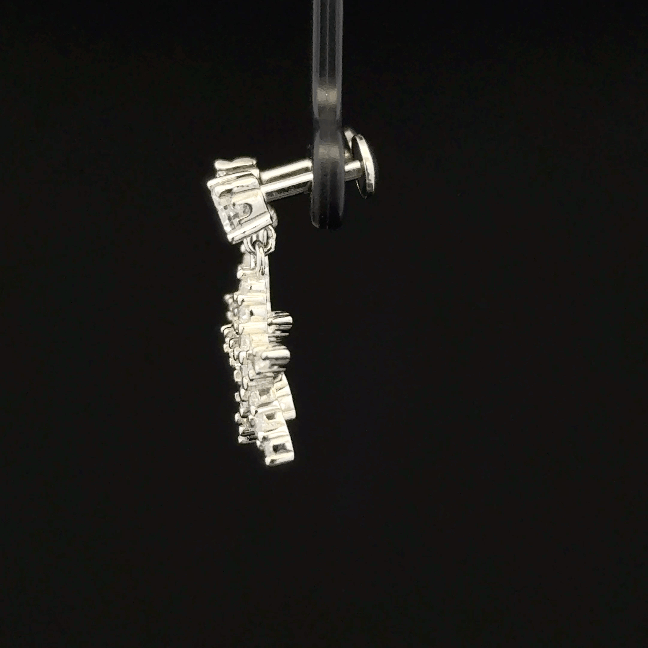 Star Fish Hanging Earrings