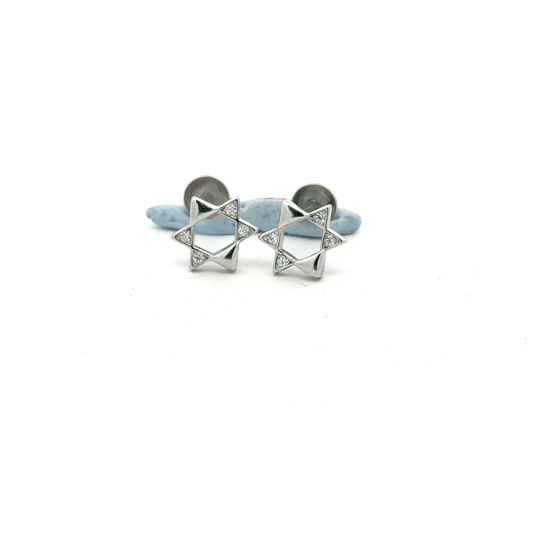 Star Earring
