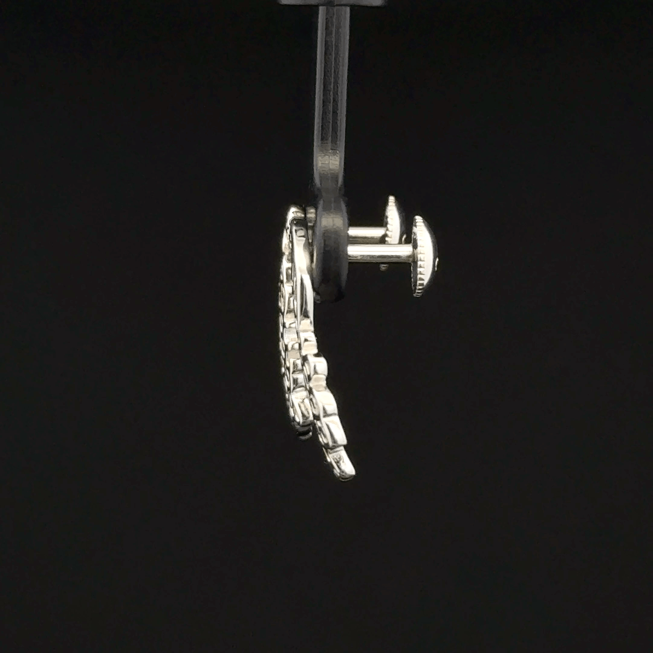 Peacock Bird earrings