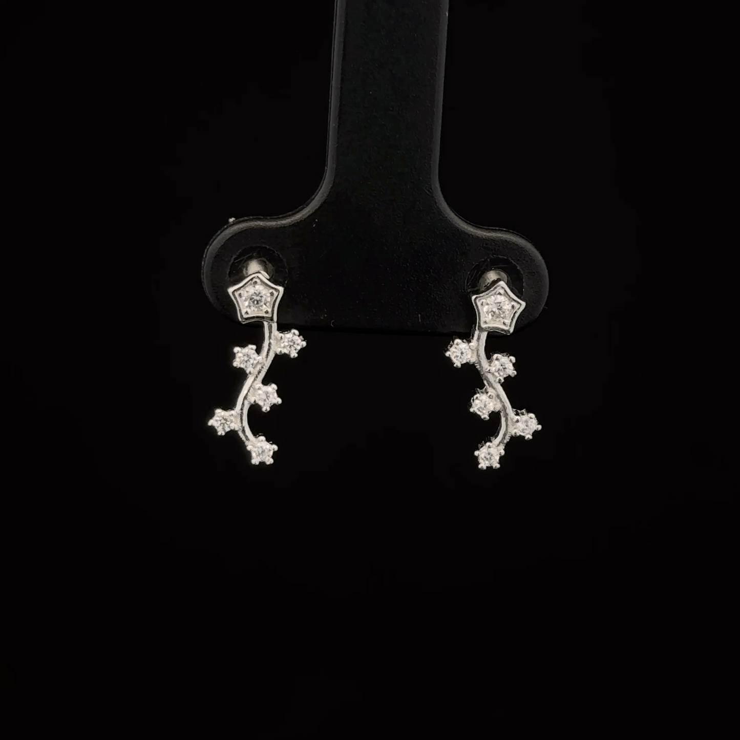 Star Earrings