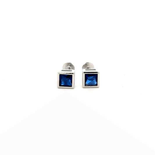 Blue Stone Earring