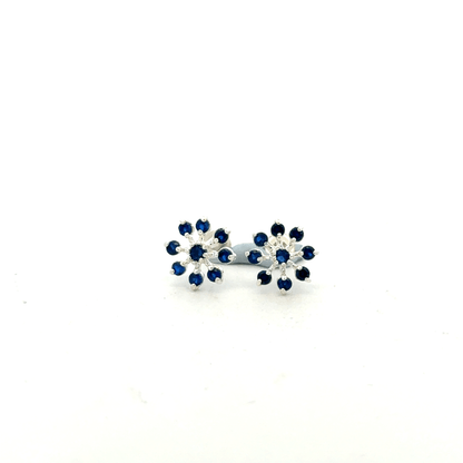 Multistone Blue Second Earrings