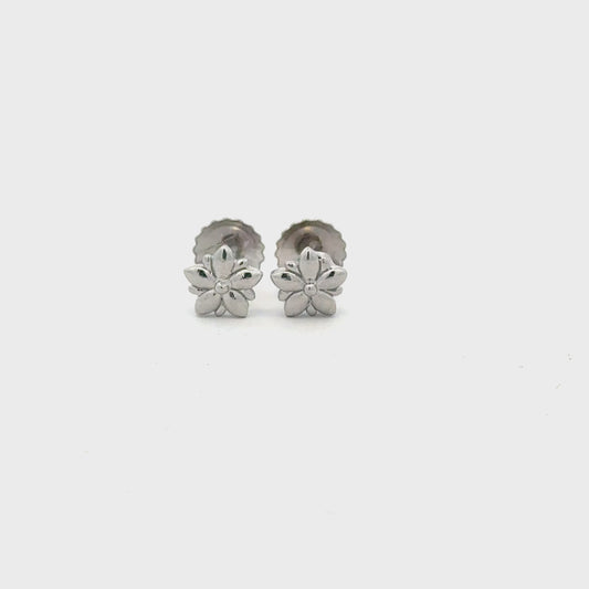 Star Earring