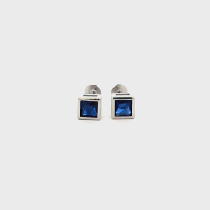 Blue Stone Earring