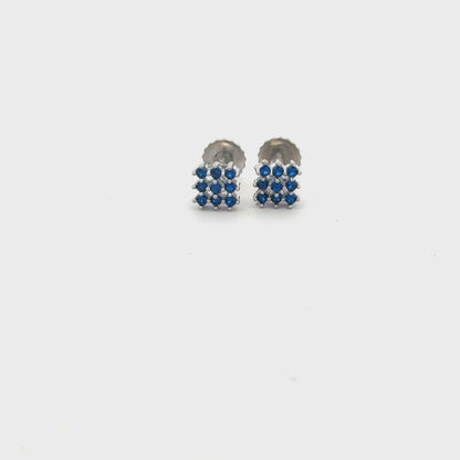 Multistone Blue Earrings