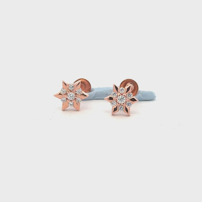 Star Rosegold Earring