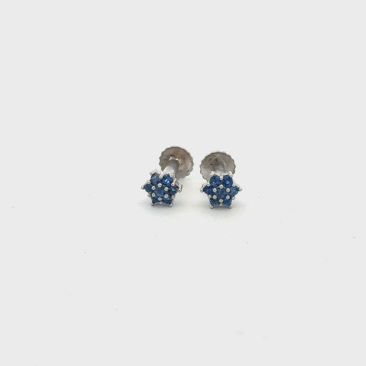 Blue Multistone Earring