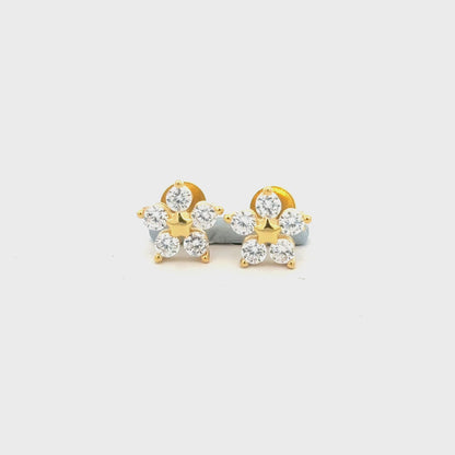 Star Earring